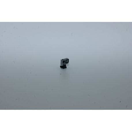 Go Pro